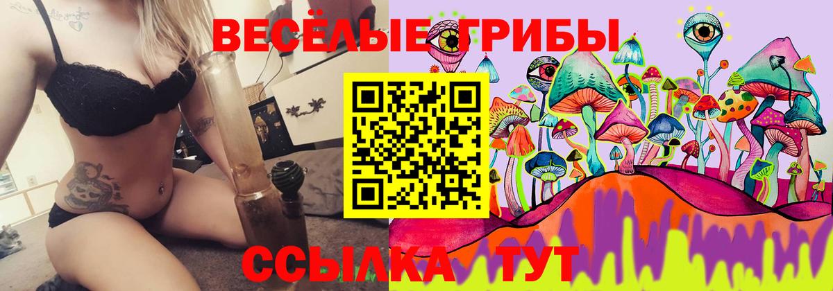 Псилоцибиновые грибы GOLDEN TEACHER  Вход с VPN  Лениногорск  Галлюциногенные грибы прущие грибы 