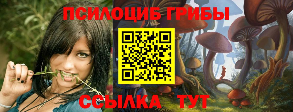 Псилоцибиновые грибы прущие грибы Лениногорск